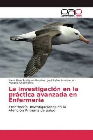 Könyv investigacion en la practica avanzada en Enfermeria Raiza Elena Rodriguez Ramirez