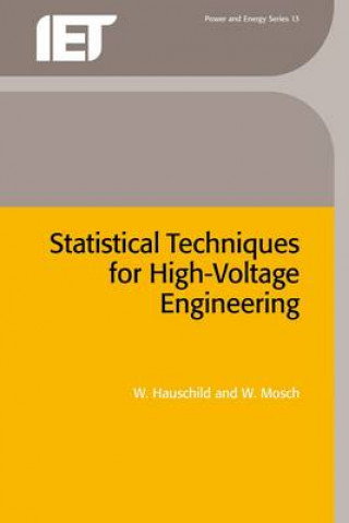 Könyv Statistical Techniques for High-Voltage Engineering W. Hauschild