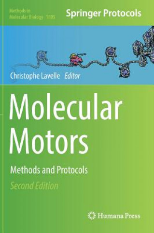 Könyv Molecular Motors Christophe Lavelle