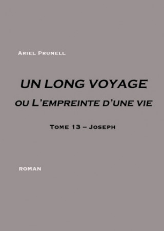 Kniha UN LONG VOYAGE ou L'empreinte d'une vie - Tome 13 Ariel Prunell
