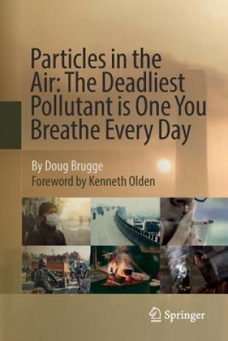 Buch Particles in the Air Doug Brugge