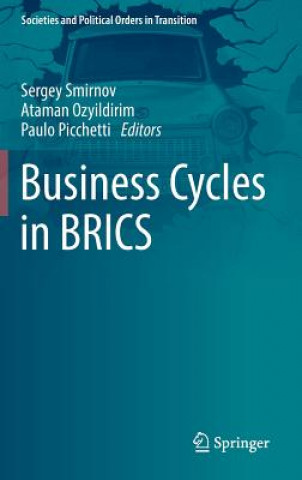 Książka Business Cycles in BRICS Sergey Smirnov