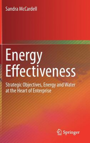 Buch Energy Effectiveness Sandra McCardell