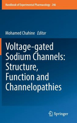 Kniha Voltage-gated Sodium Channels: Structure, Function and Channelopathies Mohamed Chahine