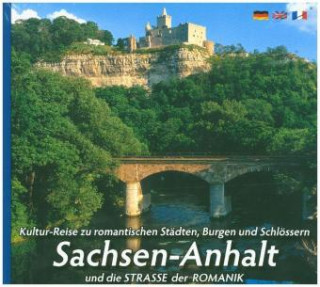 Kniha Mittelalterlicher Burgen- u. Schlösserlandschaft SACHSEN-ANHALT Horst Ziethen