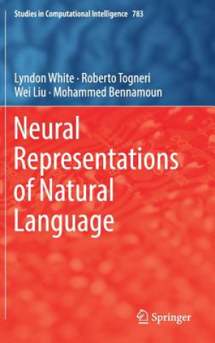 Carte Neural Representations of Natural Language Lyndon White