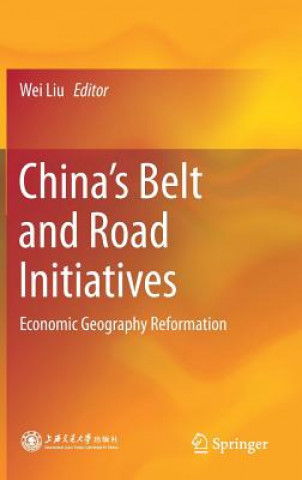 Kniha China's Belt and Road Initiatives Wei Liu