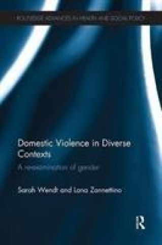 Könyv Domestic Violence in Diverse Contexts Wendt