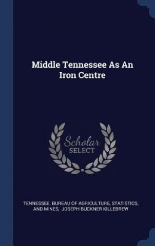 Kniha MIDDLE TENNESSEE AS AN IRON CENTRE TENNESSEE. BUREAU OF