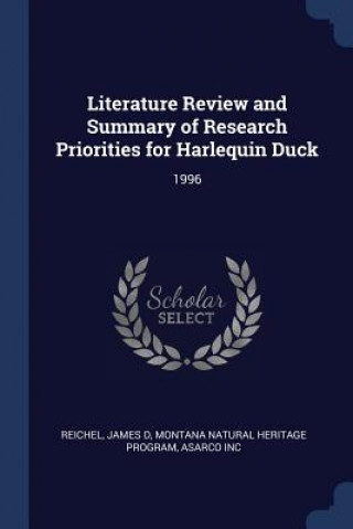 Carte LITERATURE REVIEW AND SUMMARY OF RESEARC JAMES D REICHEL