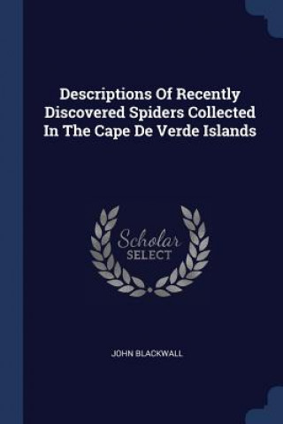 Carte Descriptions of Recently Discovered Spiders Collected in the Cape de Verde Islands John Blackwall