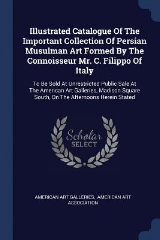 Kniha ILLUSTRATED CATALOGUE OF THE IMPORTANT C AMERICAN GALLERIES