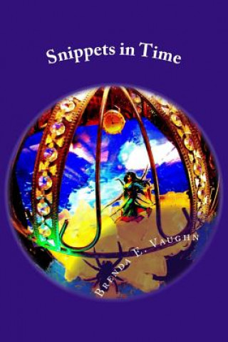 Buch Snippets in Time Brenda E Vaughn