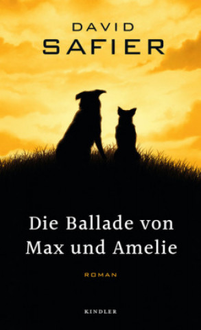 Libro Die Ballade von Max und Amelie David Safier