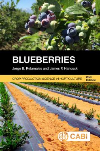 Kniha Blueberries Jorge Retamales