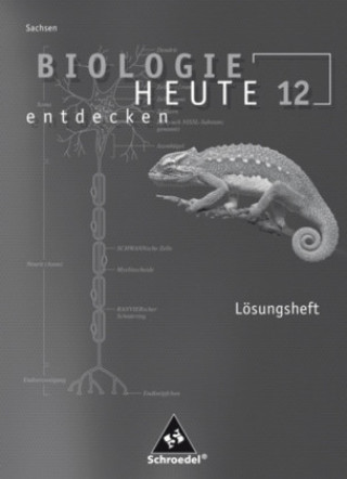Könyv Biologie heute entdecken SII - Ausgabe 2008 für Sachsen Antje Starke