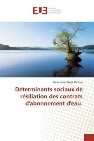 Carte Déterminants sociaux de résiliation des contrats d'abonnement d'eau. Zouhon Lou Nazié Michèle
