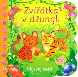 Книга Zvířátka v džungli collegium