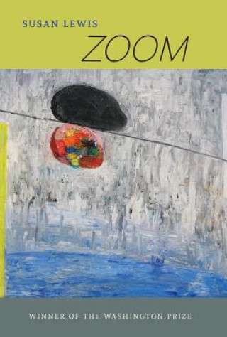 Kniha Zoom Susan Lewis