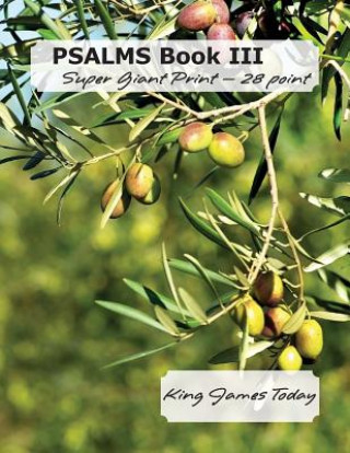 Livre PSALMS Book III, Super Giant Print - 28 point Paula Nafziger