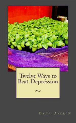 Książka Twelve Ways to Beat Depression Danni Andrew