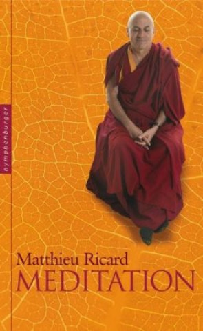 Kniha Meditation Ricard Matthieu