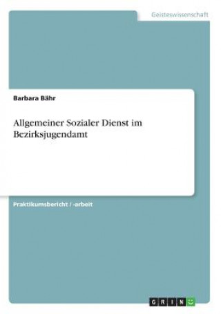 Kniha Allgemeiner Sozialer Dienst im Bezirksjugendamt Barbara Bähr