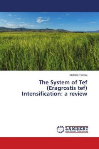 Könyv The System of Tef (Eragrostis tef) Intensification: a review Mebrate Tamrat