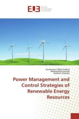 Kniha Power Management and Control Strategies of Renewable Energy Resources Souleyman Tidjani Fadoul