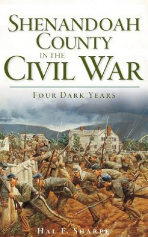 Knjiga Shenandoah County in the Civil War: Four Dark Years Hal F Sharpe
