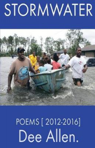 Könyv Stormwater: Poems [ 2012-2016 ] MR Dee Allen