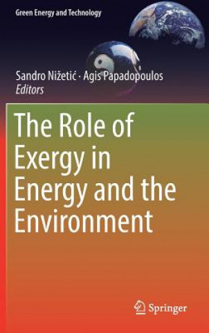 Carte Role of Exergy in Energy and the Environment Sandro Nizetic