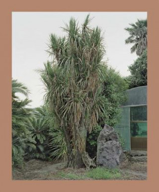 Knjiga Oksun Kim ILWOO Foundation