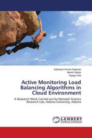 Kniha Active Monitoring Load Balancing Algorithms in Cloud Environment Satheesh Kumar Nagineni