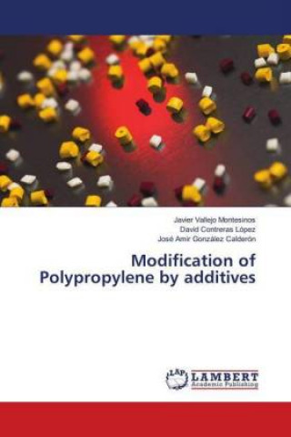 Könyv Modification of Polypropylene by additives Javier Vallejo Montesinos