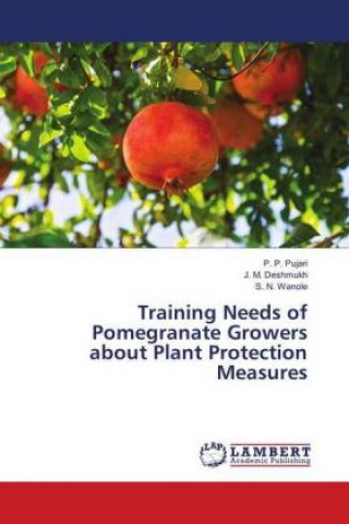 Könyv Training Needs of Pomegranate Growers about Plant Protection Measures P. P. Pujari
