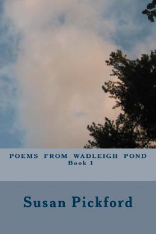 Libro Poems From Wadleigh Pond Book One Susan Bassler Pickford