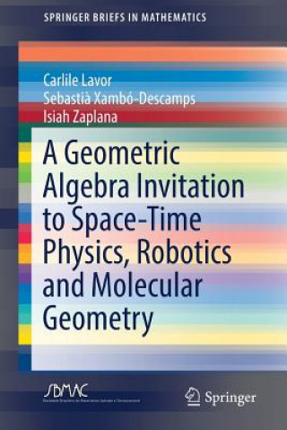 Książka Geometric Algebra Invitation to Space-Time Physics, Robotics and Molecular Geometry Carlile Lavor