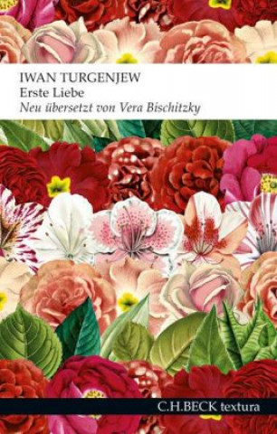 Книга Erste Liebe Iwan Turgenjew