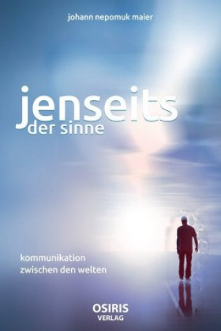 Kniha Jenseits der Sinne Johann Nepomuk Maier