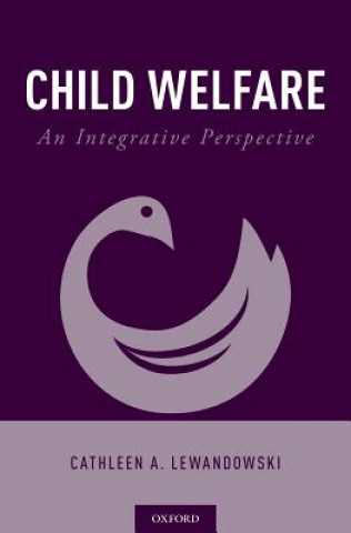 Boek Child Welfare Lewandowski Cathleen A