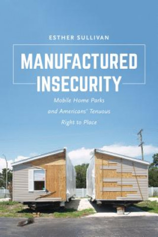 Kniha Manufactured Insecurity Esther Sullivan