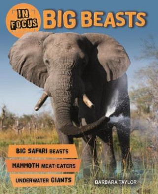 Kniha In Focus: Big Beasts Barbara Taylor