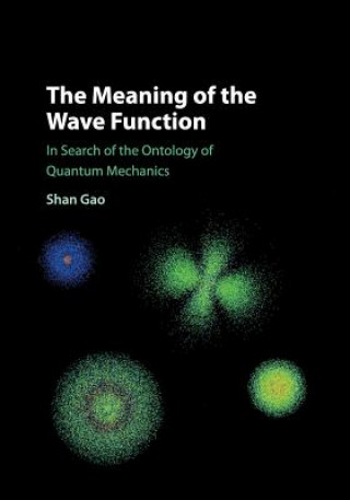 Kniha Meaning of the Wave Function Shan Gao