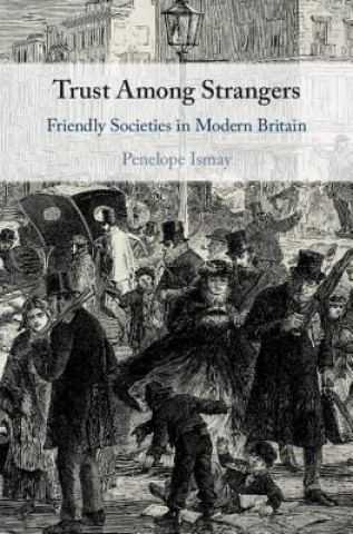 Книга Trust Among Strangers Ismay