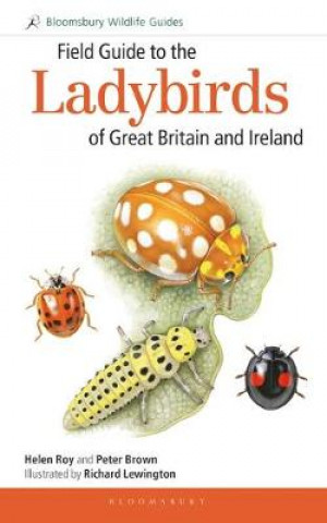 Kniha Field Guide to the Ladybirds of Great Britain and Ireland Helen Roy