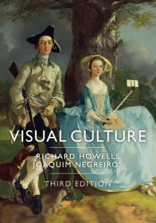 Kniha Visual Culture 3e Richard Howells