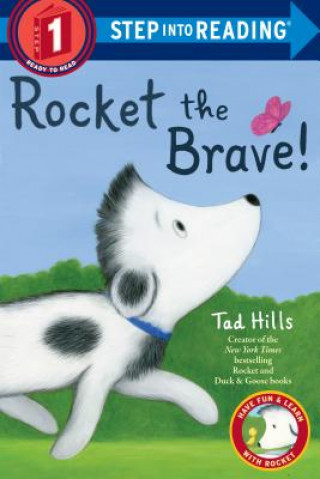 Knjiga Rocket the Brave! Tad Hills