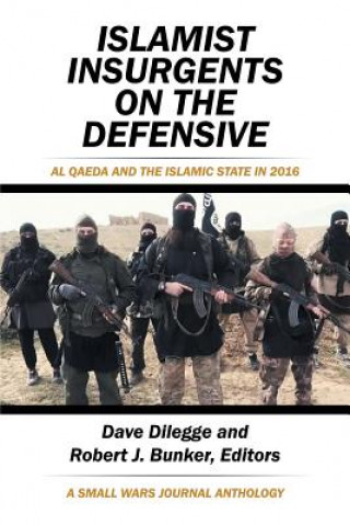 Книга Islamist Insurgents on the Defensive Dave Dilegge