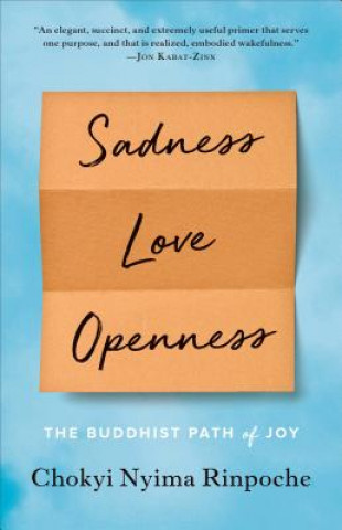 Kniha Sadness, Love, Openness Chokyi Nyima Rinpoche